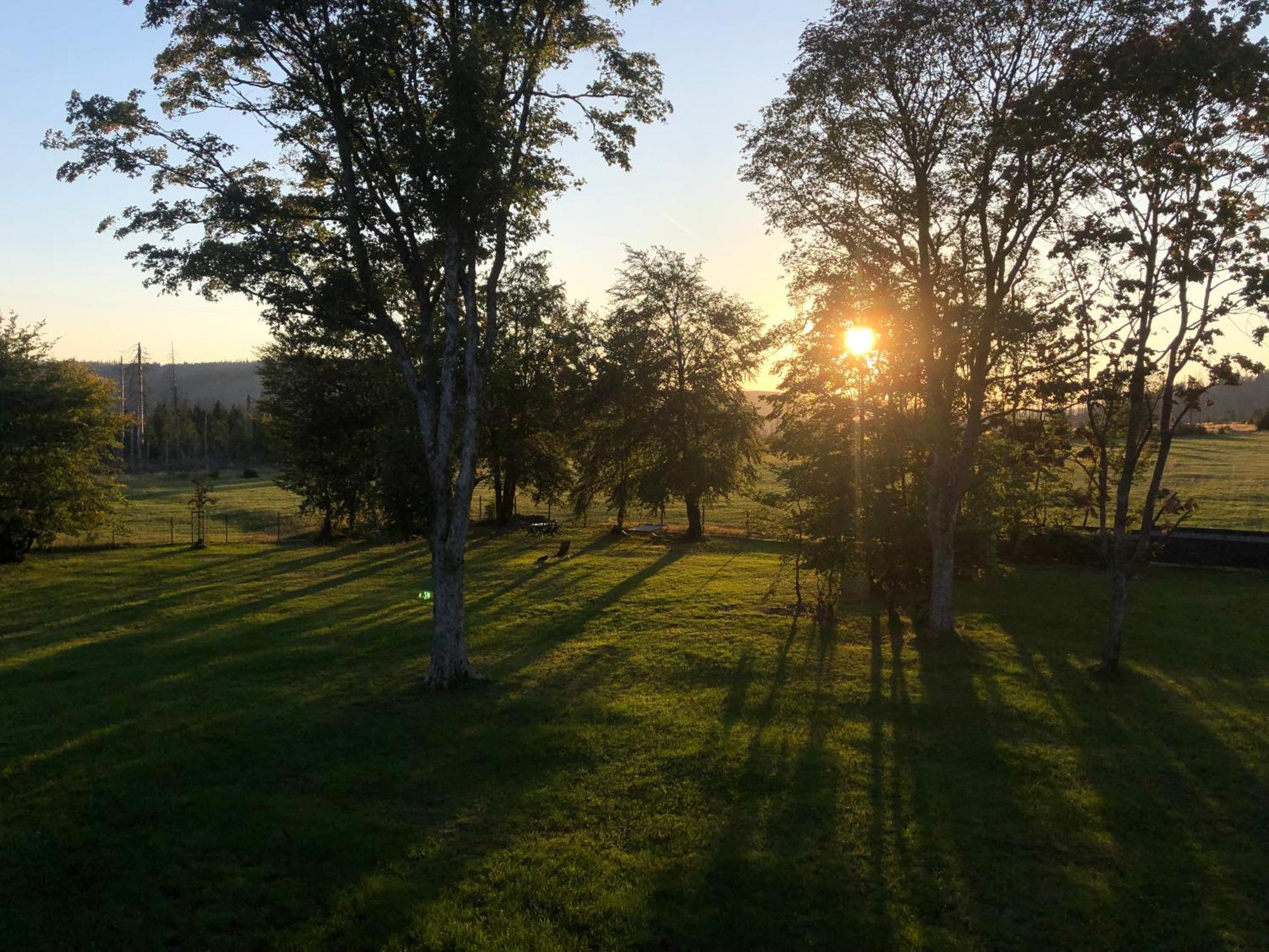 Altes Forsthaus Koenigskrug Διαμέρισμα Braunlage Εξωτερικό φωτογραφία